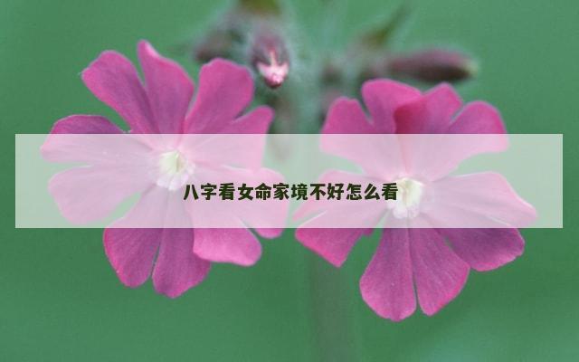 八字看女命家境不好怎么看