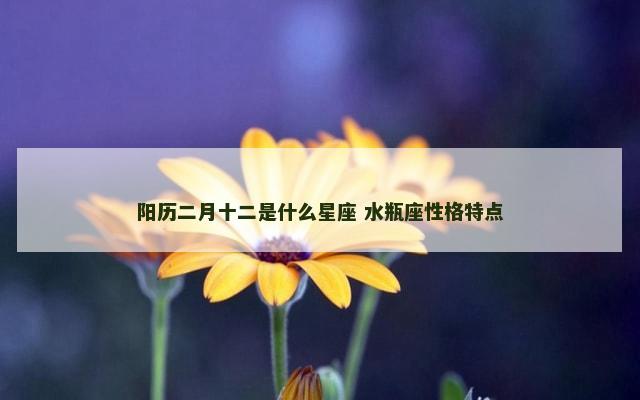 阳历二月十二是什么星座 水瓶座性格特点