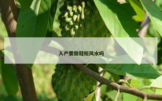 入户要做鞋柜风水吗