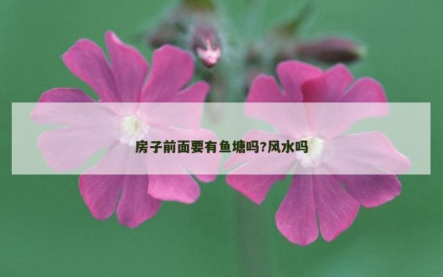 房子前面要有鱼塘吗?风水吗