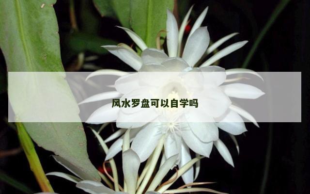 风水罗盘可以自学吗