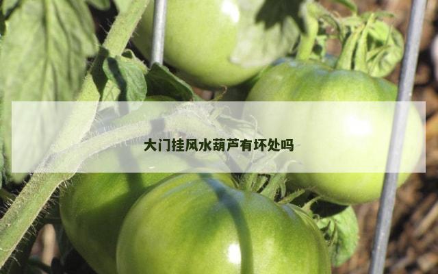 大门挂风水葫芦有坏处吗