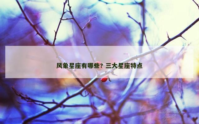 风象星座有哪些? 三大星座特点