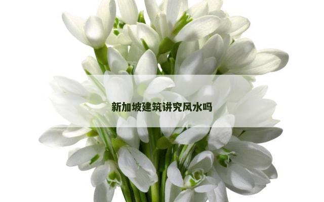 新加坡建筑讲究风水吗