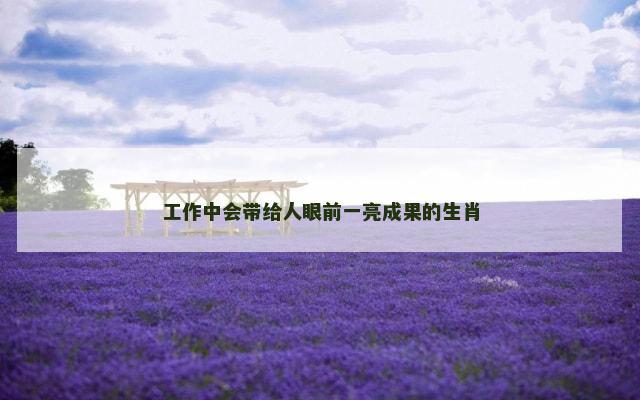工作中会带给人眼前一亮成果的生肖