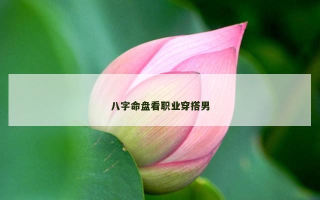 八字命盘看职业穿搭男