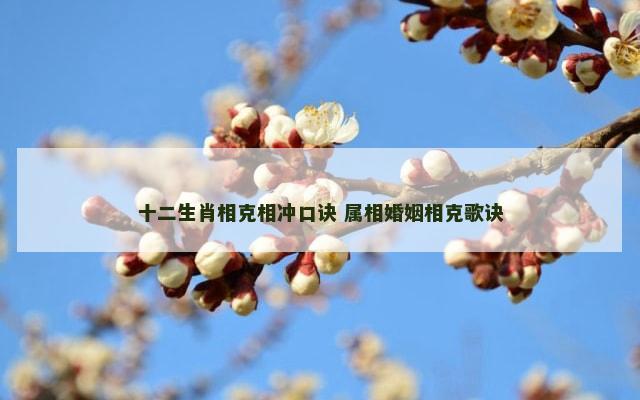 十二生肖相克相冲口诀 属相婚姻相克歌诀