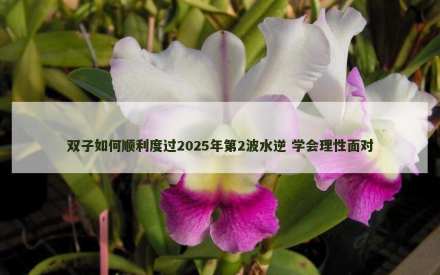 双子如何顺利度过2025年第2波水逆 学会理性面对