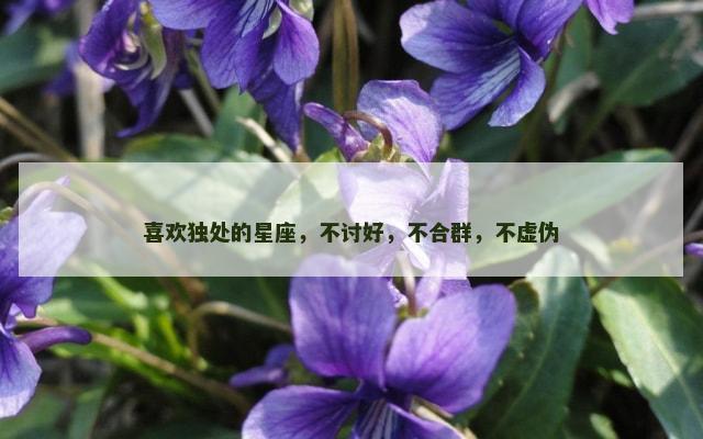 喜欢独处的星座，不讨好，不合群，不虚伪