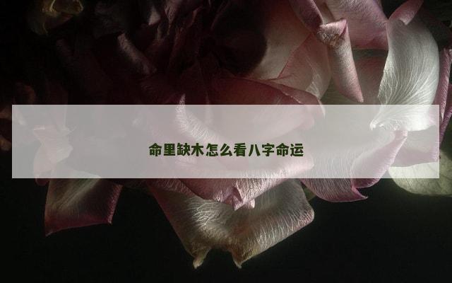 命里缺木怎么看八字命运
