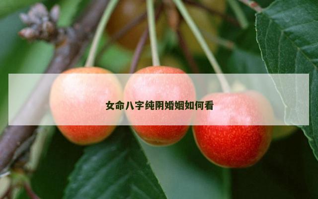 女命八字纯阴婚姻如何看