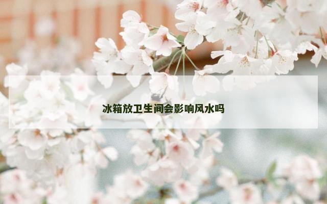冰箱放卫生间会影响风水吗