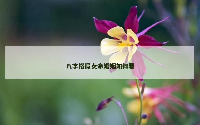 八字格局女命婚姻如何看
