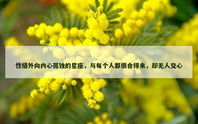 性格外向内心孤独的星座，与每个人都很合得来，却无人交心