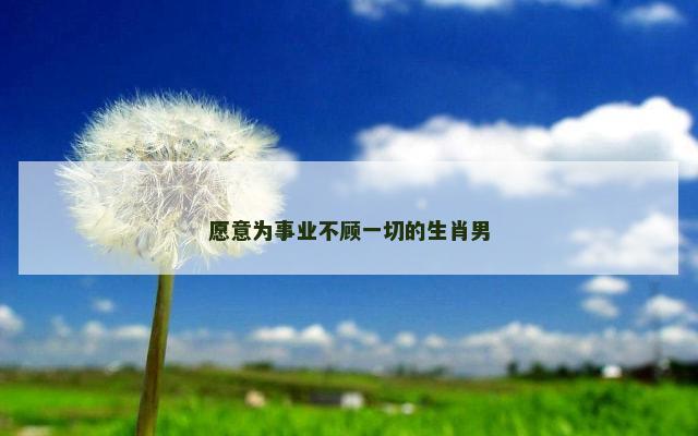 愿意为事业不顾一切的生肖男