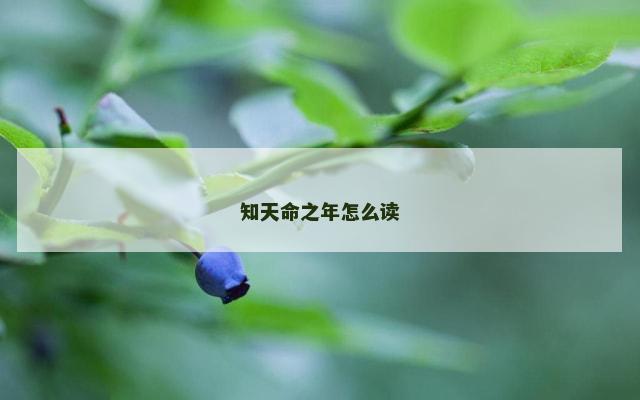 知天命之年怎么读