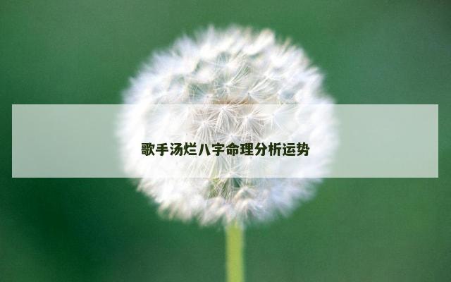 歌手汤烂八字命理分析运势