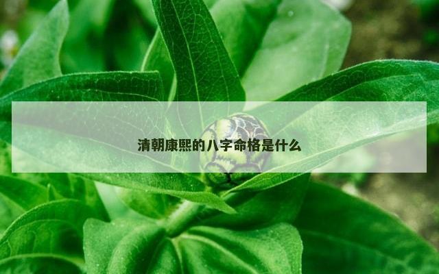 清朝康熙的八字命格是什么