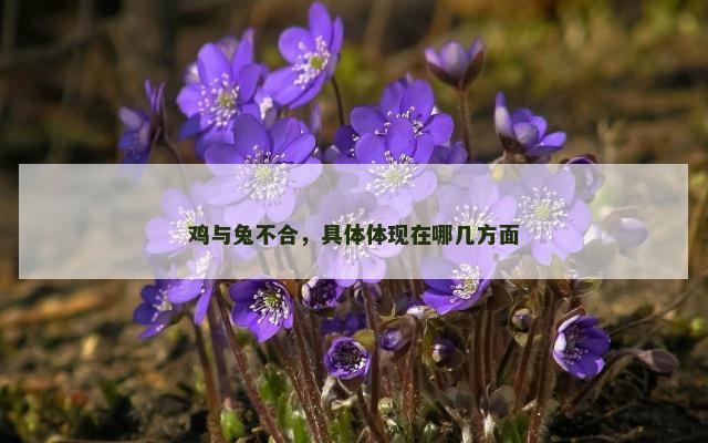 鸡与兔不合，具体体现在哪几方面