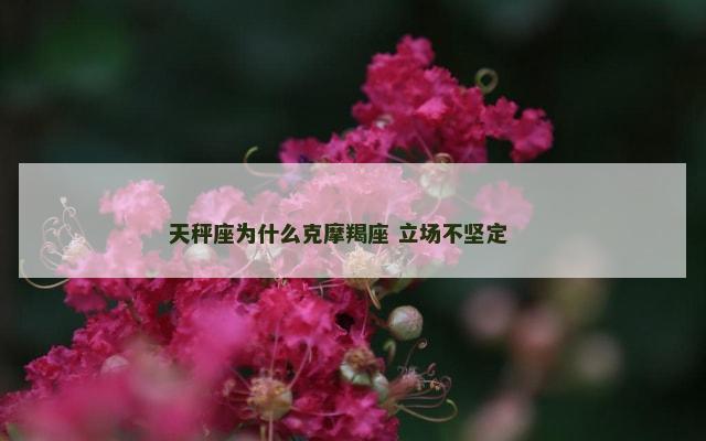 天秤座为什么克摩羯座 立场不坚定 　　