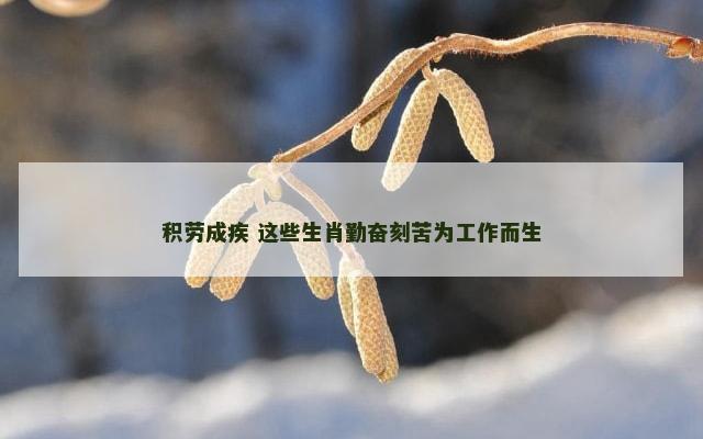 积劳成疾 这些生肖勤奋刻苦为工作而生