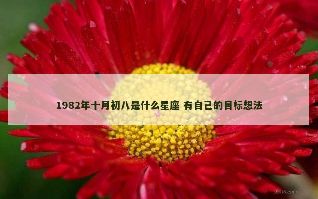 1982年十月初八是什么星座 有自己的目标想法