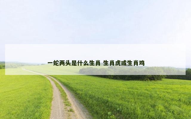 一蛇两头是什么生肖 生肖虎或生肖鸡
