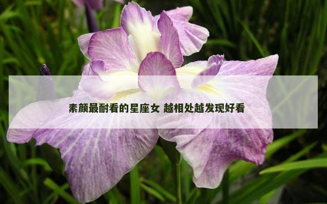 素颜最耐看的星座女 越相处越发现好看 　　