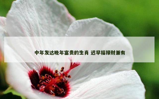 中年发达晚年富贵的生肖 迟早福禄财兼有