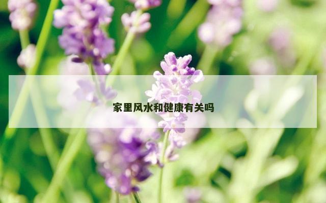 家里风水和健康有关吗