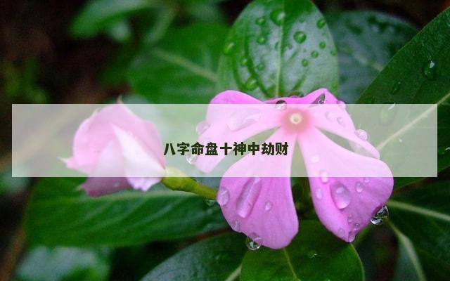 八字命盘十神中劫财