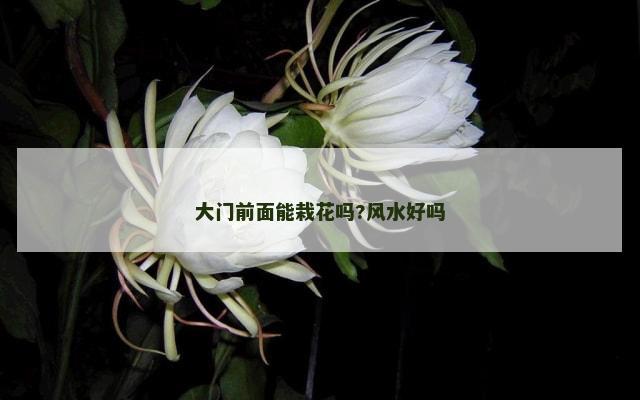大门前面能栽花吗?风水好吗