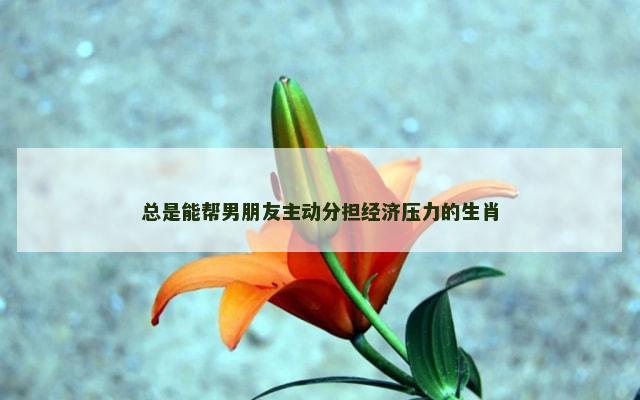 总是能帮男朋友主动分担经济压力的生肖