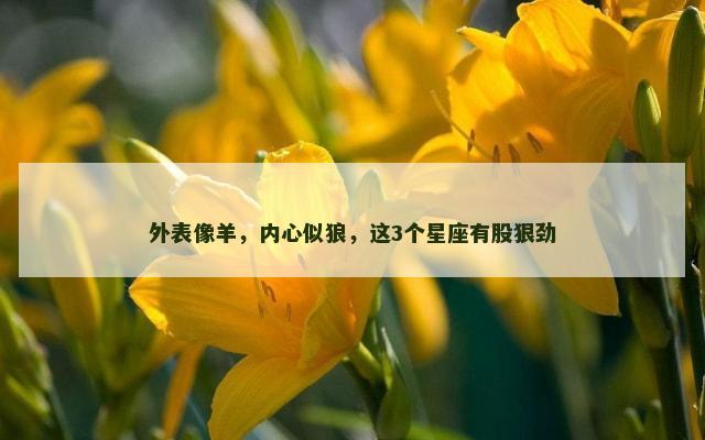 外表像羊，内心似狼，这3个星座有股狠劲