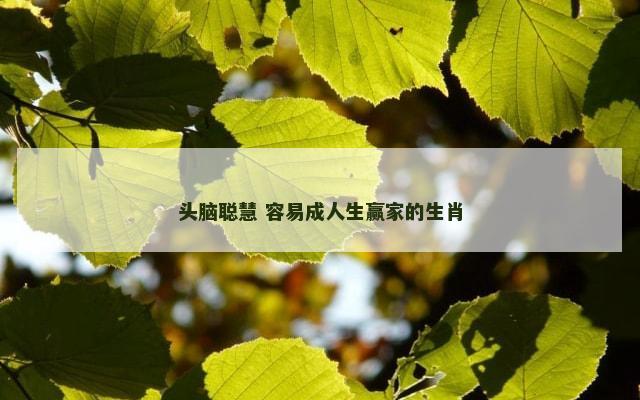头脑聪慧 容易成人生赢家的生肖