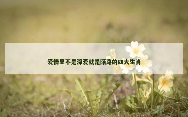 爱情里不是深爱就是陌路的四大生肖