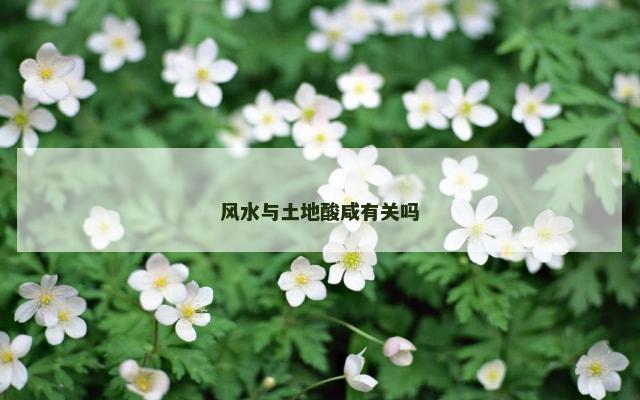 风水与土地酸咸有关吗