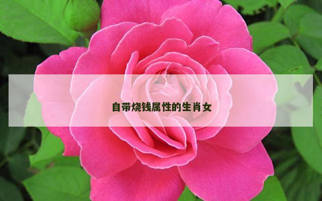 自带烧钱属性的生肖女