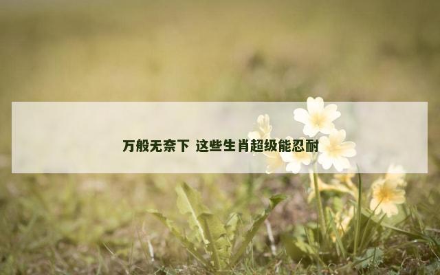 万般无奈下 这些生肖超级能忍耐