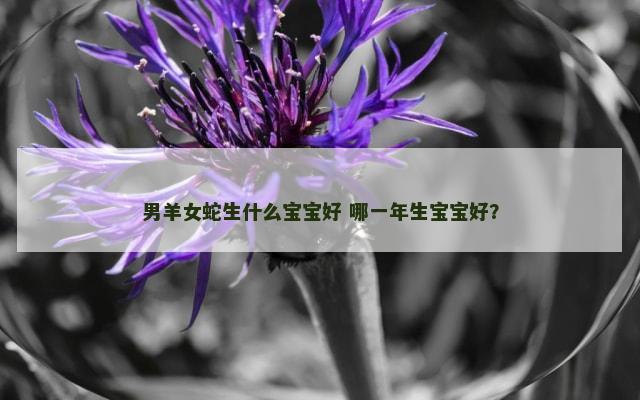 男羊女蛇生什么宝宝好 哪一年生宝宝好？