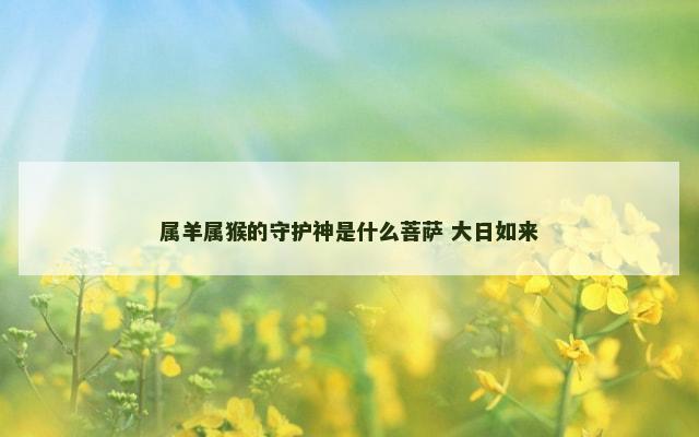 属羊属猴的守护神是什么菩萨 大日如来