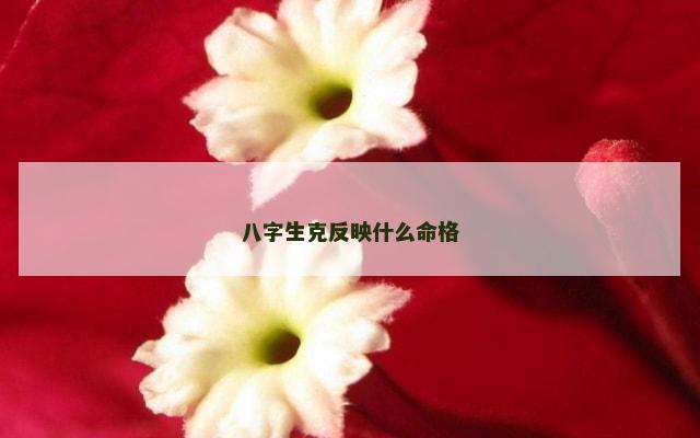 八字生克反映什么命格