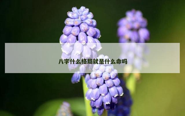八字什么格局就是什么命吗