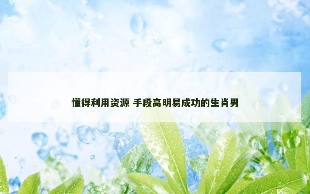 懂得利用资源 手段高明易成功的生肖男