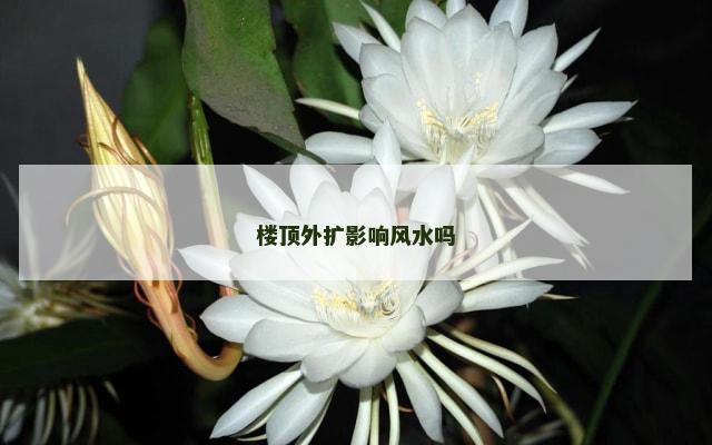 楼顶外扩影响风水吗