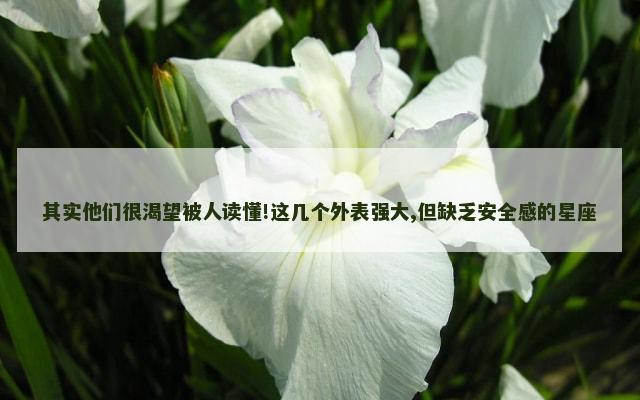 其实他们很渴望被人读懂!这几个外表强大,但缺乏安全感的星座