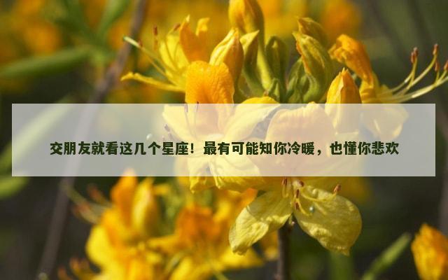 交朋友就看这几个星座！最有可能知你冷暖，也懂你悲欢