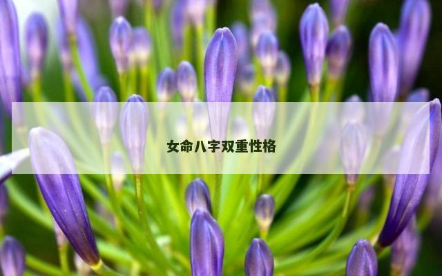 女命八字双重性格