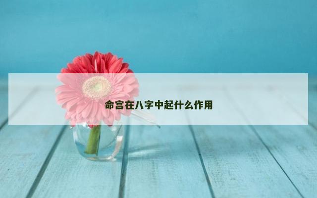 命宫在八字中起什么作用