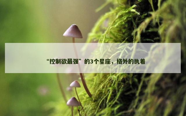 “控制欲最强”的3个星座，格外的执着